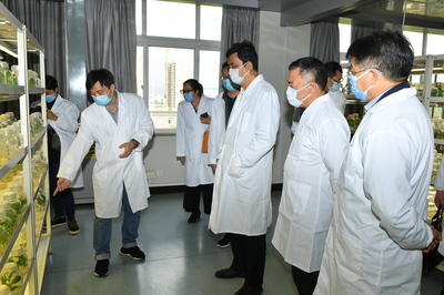 云南省科技厅调研省烟草农科院和玉溪中烟种子公司